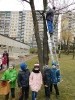 Budki lęgowe dla ptaków_6