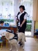 Światowy dzień zwierząt październik 2016_8