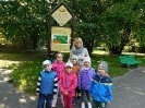 Wycieczka do parku gr. IV październik 2016 r_4