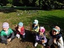 Wycieczka do parku gr. IV październik 2016 r_5