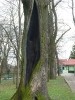 Wycieczka do parku, gr.V_2