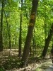 Wycieczka do Wierzchosławic, gr.I i II_17