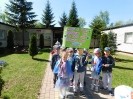 Dzień Ziemi w kolorze krokusa_14