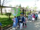 Dzień Ziemi w kolorze krokusa_16