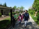 Dzień Ziemi w kolorze krokusa_17