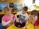 Ekoludki robią syropy_8