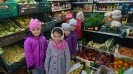 Ekoludki w poszukiwaniu owocowych witamin