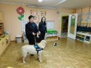 Spotkanie z wolontariuszkami schroniska dla zwierząt
