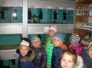 W sklepie zoologicznym_4