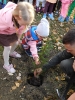 Dzień drzewa_14