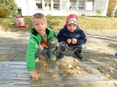 Dzień drzewa_17