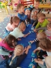 Dzień wieloryba u 