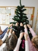 Przedszkolaki ubierają choinki_2