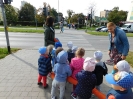 Przedszkolaki znają zasady ruchu drogowego_8